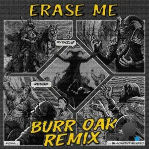  Pythius & Reebz - Erase Me (Burr Oak Remix) (2024) 