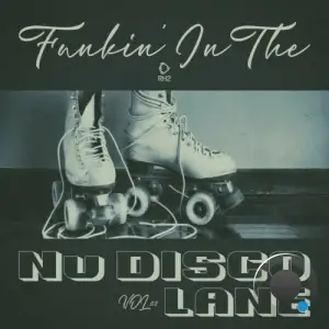  Funkin' in the Nu Disco Lane, Vol.02 (2024) 