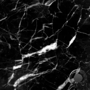  A L V S M - Form (2024) 