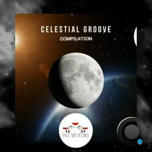  Chuxutris - Celestial Groove (2024) 
