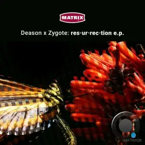  Sean Deason x Zygote - res·ur·rec·tion (2024) 