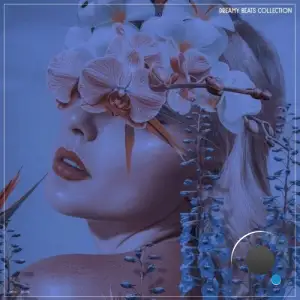  Dreamy Beats Collection (2024) 
