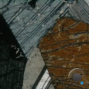 Tony Hoffman - Kepler (2024) 