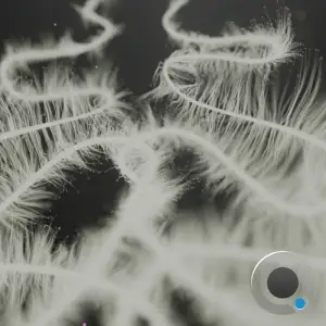  Altjira - Flux Serpent (2024) 