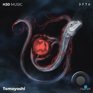  Tomoyoshi - Feel (2024) 
