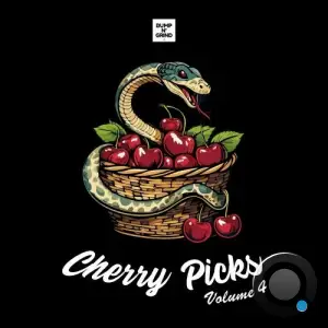  Cherry Picks Volume 4. (2025) 