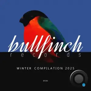 Bullfinch Winter 2025 Compilation (2025)