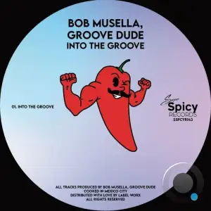 Bob Musella & Groove Dude - Into The Groove (2025)