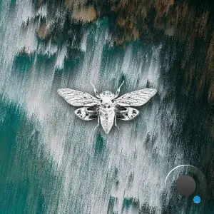 Moonphazes - Murmer Dance (2025)