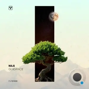 DJ Nils - GuiDance (2025)