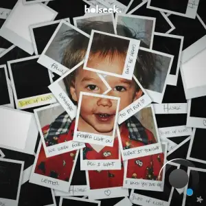 Holseek - slide of notes (2025)