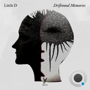 Little D - Driftwood Memories (2025)