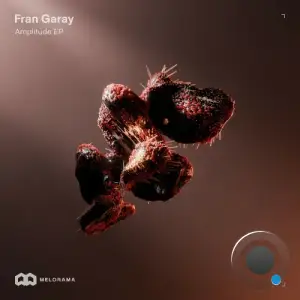 Fran Garay - Amplitude (2025)
