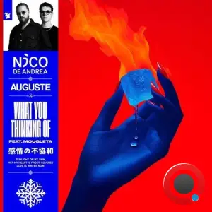 Nico De Andrea & Auguste Ft. Mougleta - What You Thinking Of (2025)