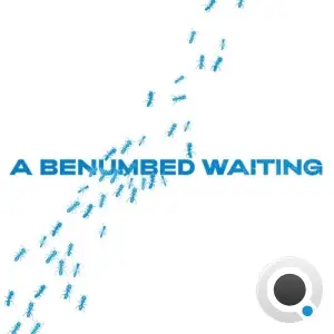 A Benumbed Waiting (2025)