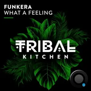 Funkera - What A Feeling (2025)