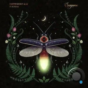 Different Ray - Flicker (2025)