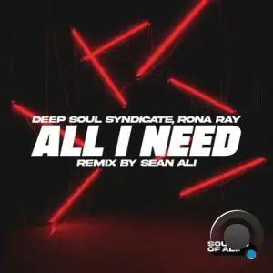 Deep Soul Syndicate x Rona Ray - All I Need (Sean Ali Remix) (2025)