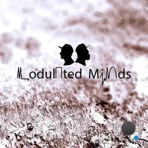 Modulated Minds - Take One (2025)